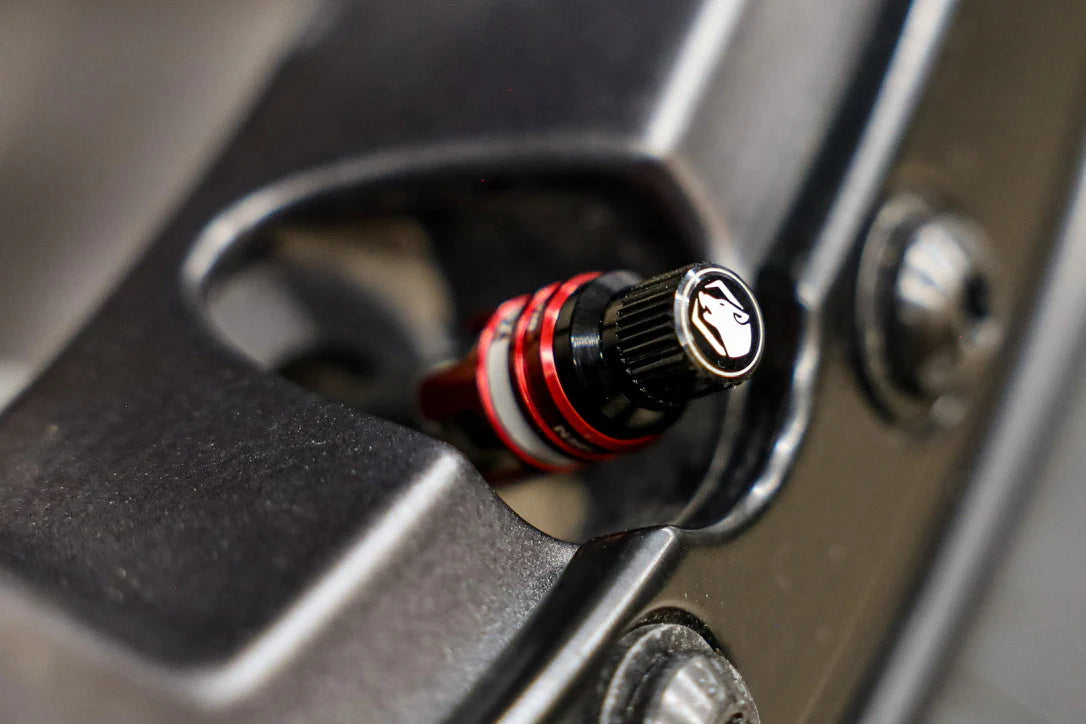 APEX PERFORMANCE PRODUCTS: RCV RAPID CONNECT VALVE